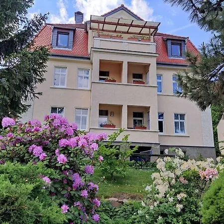 Mey Comfortable * Meißen